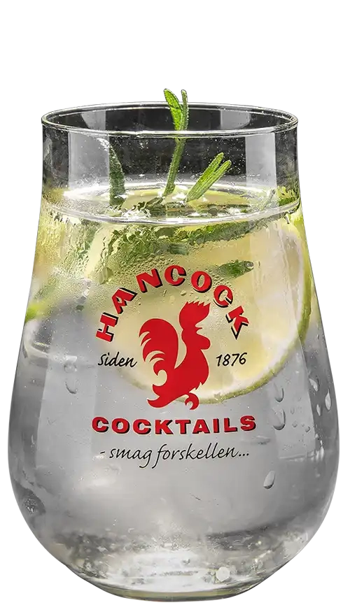 gin tonic cocktail